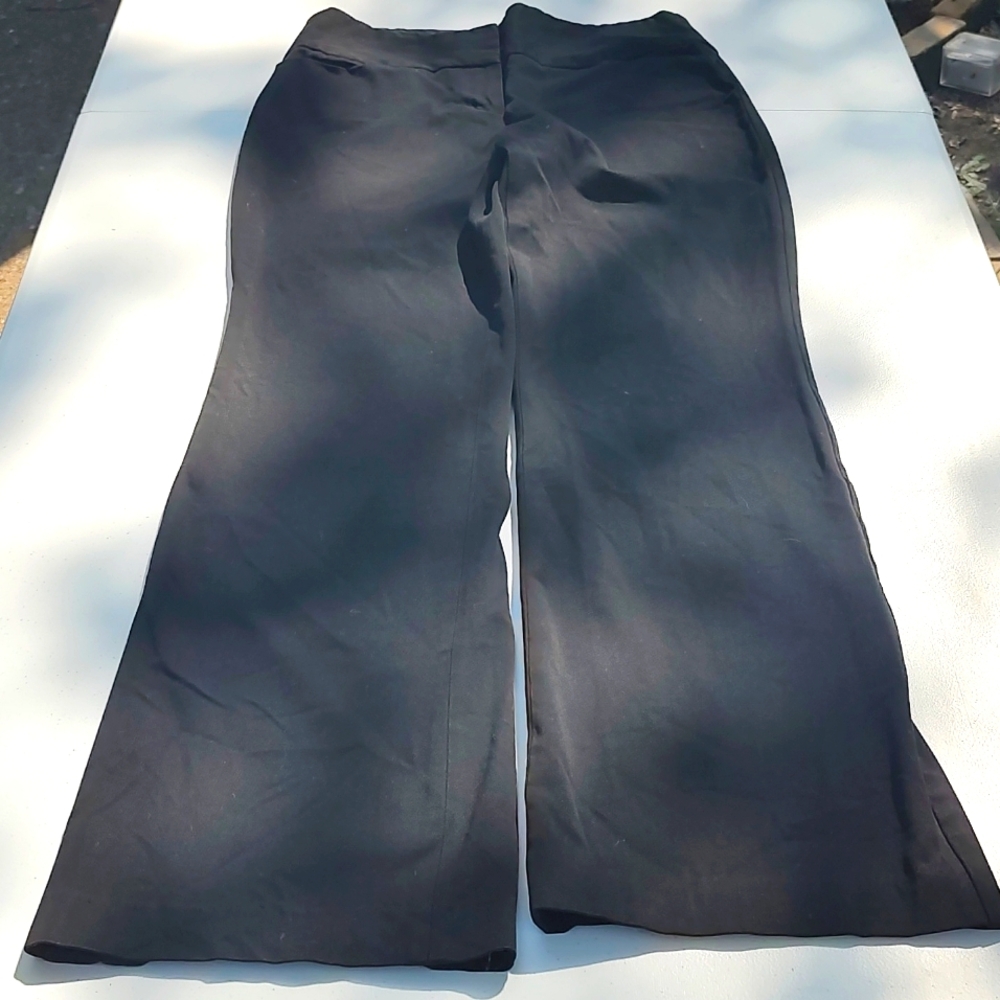 Express pants